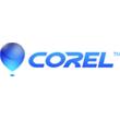 Corel Academic Site License Level 4 One Year Standard