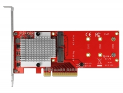 Delock Karta PCI Express x8 na 2 x interní NVMe M.2 Key M - Low Profile