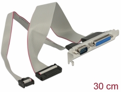 Delock Slot Bracket > 1 x Parallel, 1 x Serial layout: twisted