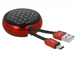 Delock Zatažitelný kabel USB 2.0 Typu-A na USB-C™, cerný / cervený