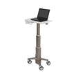 ERGOTRON CareFit™ Slim Laptop CartLight-Duty Medical Cart, lehký vozík pro ntb