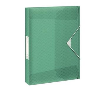 Esselte box na spisy Colour'Ice, zelený